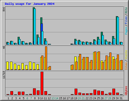 Daily usage for January 2024