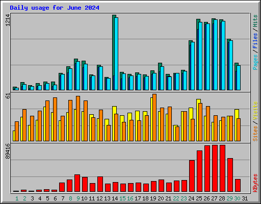 Daily usage for June 2024