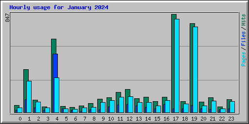 Hourly usage for January 2024