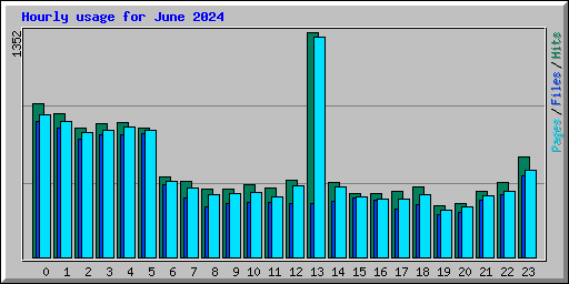 Hourly usage for June 2024